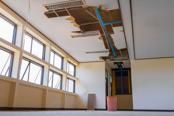 Best Water damage restoration company  in Robinson, IL
