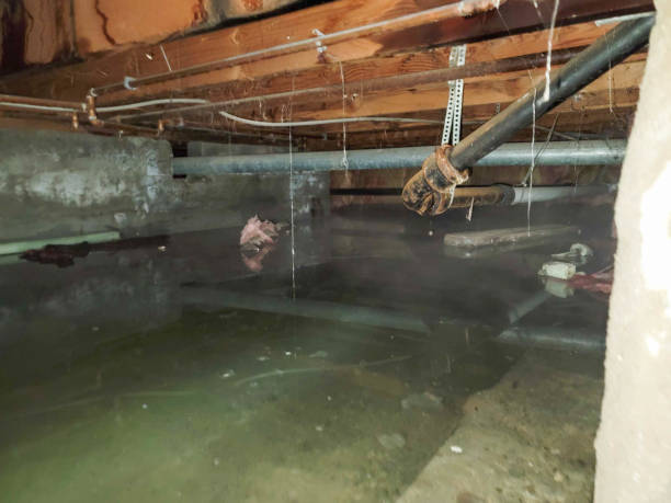Best Flooded house restoration  in Robinson, IL