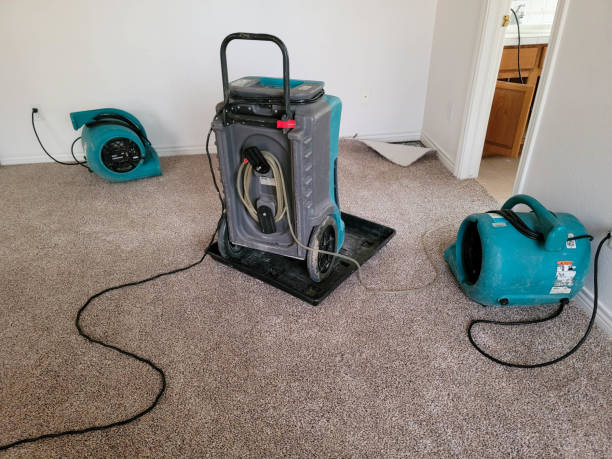 Best Flooded house restoration  in Robinson, IL