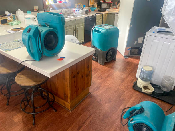 Best Water damage restoration near me  in Robinson, IL