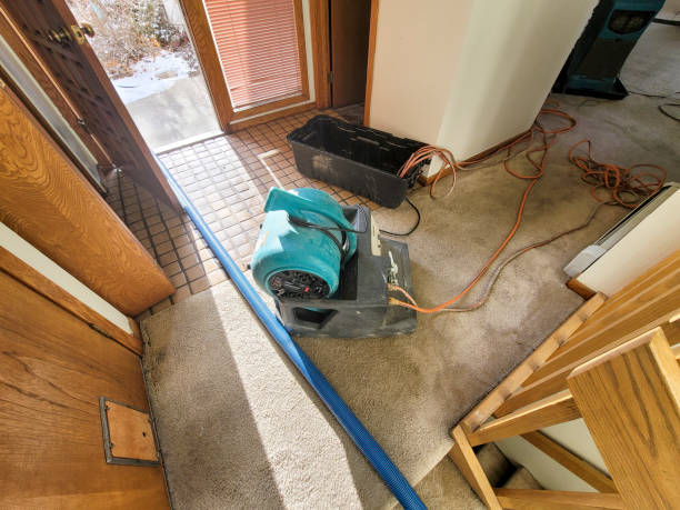 Best Water damage cleanup near me  in Robinson, IL