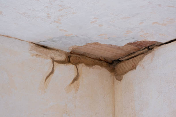 Professional Water damage restoration in Robinson, IL