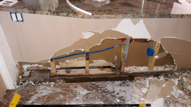 Best Water damage cleanup near me  in Robinson, IL