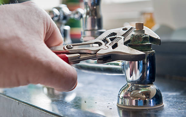 Best Carpet water damage restoration  in Robinson, IL