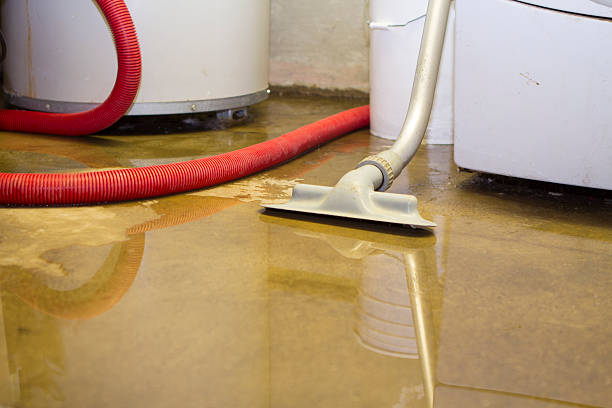 Best Mold removal after water damage  in Robinson, IL