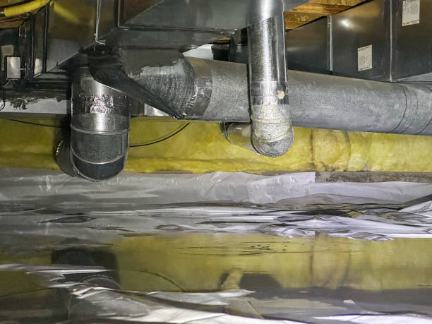 Best Sewage cleanup and water damage restoration  in Robinson, IL