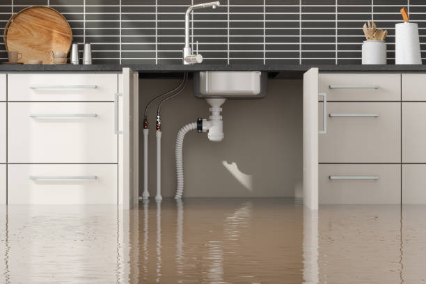 Best Water damage contractors near me  in Robinson, IL
